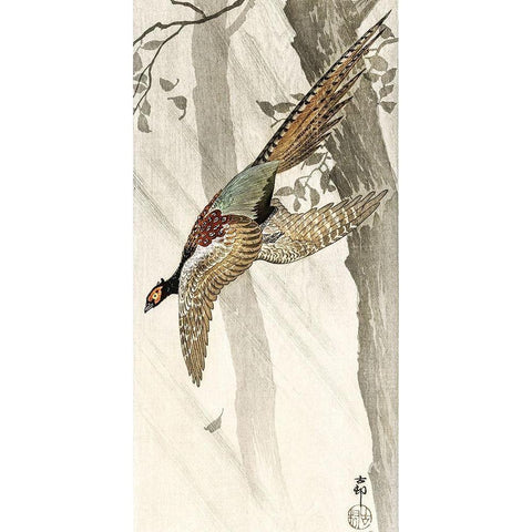 Flying pheasant Black Modern Wood Framed Art Print with Double Matting by Koson, Ohara