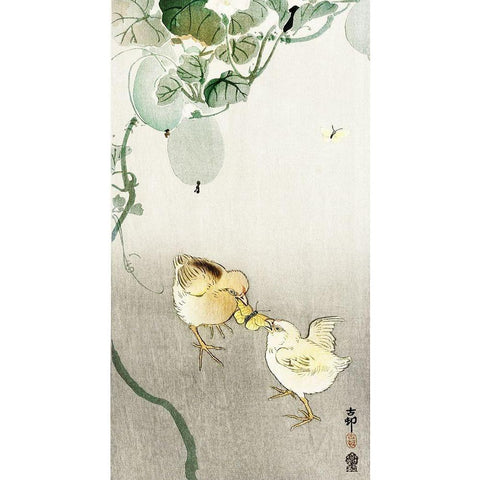 Two chicks fighting for a butterfly Black Modern Wood Framed Art Print with Double Matting by Koson, Ohara