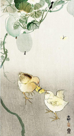 Two chicks fighting for a butterfly White Modern Wood Framed Art Print with Double Matting by Koson, Ohara