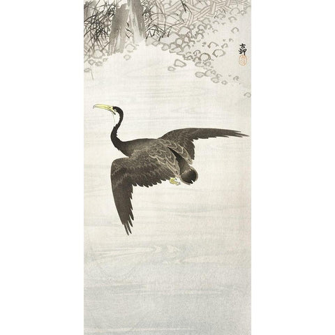 Cormorant in flight Gold Ornate Wood Framed Art Print with Double Matting by Koson, Ohara