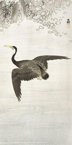 Cormorant in flight Black Ornate Wood Framed Art Print with Double Matting by Koson, Ohara