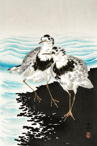 Large coot sandpipers White Modern Wood Framed Art Print with Double Matting by Koson, Ohara