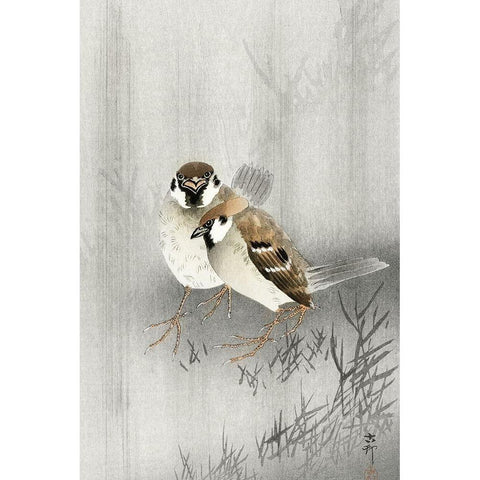 Two ring sparrows in the rain Black Modern Wood Framed Art Print with Double Matting by Koson, Ohara