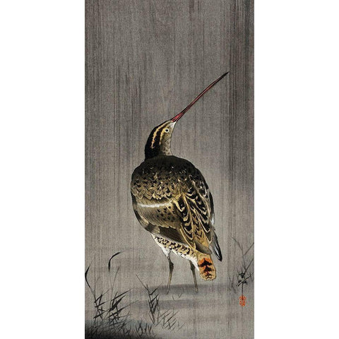 Snipe in the rain Black Modern Wood Framed Art Print with Double Matting by Koson, Ohara