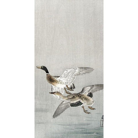 Couple of ducks Black Modern Wood Framed Art Print with Double Matting by Koson, Ohara