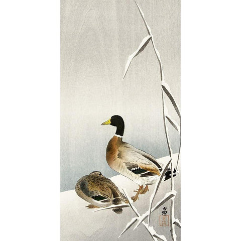 Two ducks on snowy reed Gold Ornate Wood Framed Art Print with Double Matting by Koson, Ohara