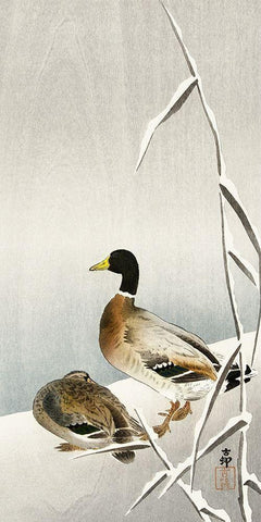 Two ducks on snowy reed White Modern Wood Framed Art Print with Double Matting by Koson, Ohara