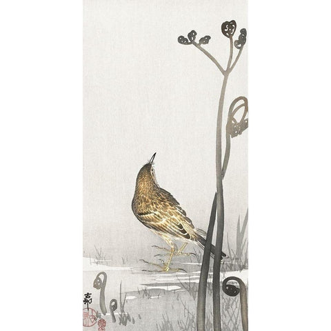 Pipit on a waterfront Black Modern Wood Framed Art Print with Double Matting by Koson, Ohara