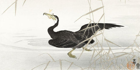 Japanese cormorant catching fish Black Ornate Wood Framed Art Print with Double Matting by Koson, Ohara