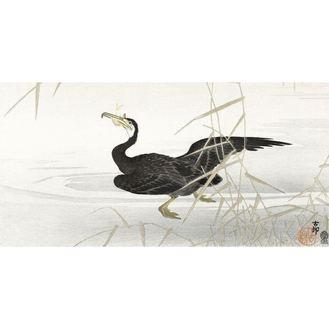 Japanese cormorant catching fish White Modern Wood Framed Art Print by Koson, Ohara