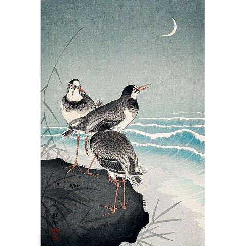 Snipes at the Shore Gold Ornate Wood Framed Art Print with Double Matting by Koson, Ohara