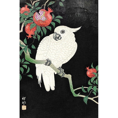 Cockatoo and Pomegranate White Modern Wood Framed Art Print by Koson, Ohara