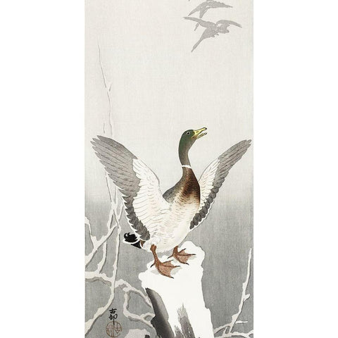 Duck on snowy tree stump White Modern Wood Framed Art Print by Koson, Ohara