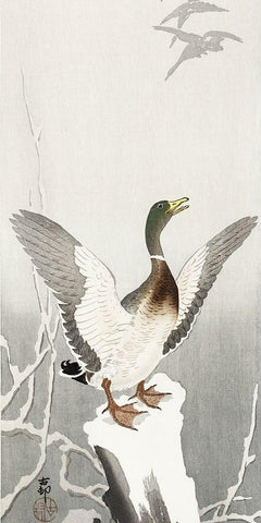 Duck on snowy tree stump White Modern Wood Framed Art Print with Double Matting by Koson, Ohara