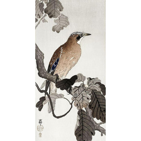 Jay on tree branch White Modern Wood Framed Art Print by Koson, Ohara