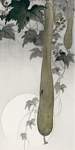 Wild cucumber and a full moonÂ  Black Ornate Wood Framed Art Print with Double Matting by Koson, Ohara