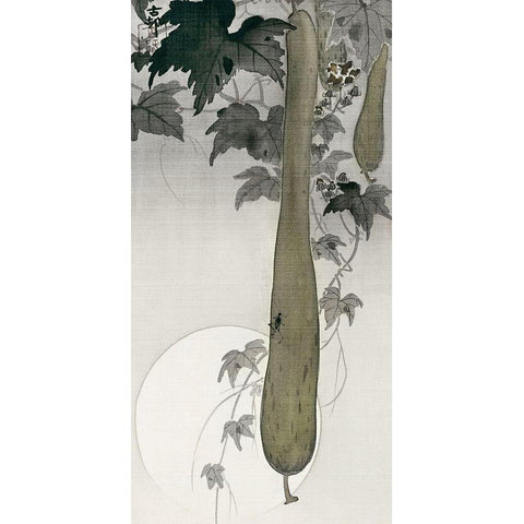 Wild cucumber and a full moonÂ  Black Modern Wood Framed Art Print with Double Matting by Koson, Ohara