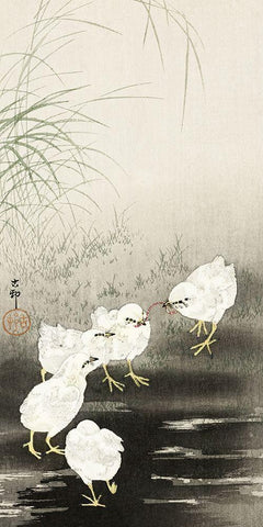 Chicks eating worms White Modern Wood Framed Art Print with Double Matting by Koson, Ohara