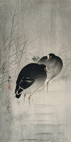 Moorhills between reeds Black Ornate Wood Framed Art Print with Double Matting by Koson, Ohara