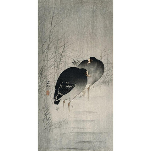 Moorhills between reeds White Modern Wood Framed Art Print by Koson, Ohara