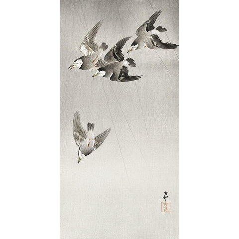 Starlings in the rain White Modern Wood Framed Art Print by Koson, Ohara