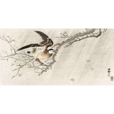 Gray starling in storm Gold Ornate Wood Framed Art Print with Double Matting by Koson, Ohara