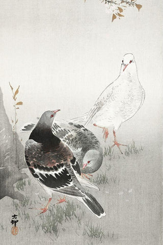 Three pigeons Black Ornate Wood Framed Art Print with Double Matting by Koson, Ohara