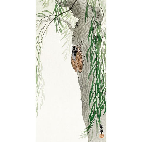 Cicada on tree White Modern Wood Framed Art Print by Koson, Ohara