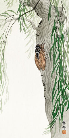 Cicada on tree White Modern Wood Framed Art Print with Double Matting by Koson, Ohara