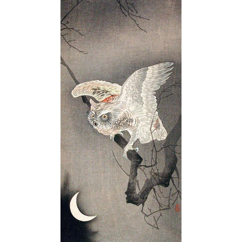 Scops Owl in Moonlight White Modern Wood Framed Art Print by Koson, Ohara