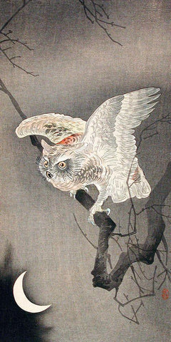 Scops Owl in Moonlight White Modern Wood Framed Art Print with Double Matting by Koson, Ohara