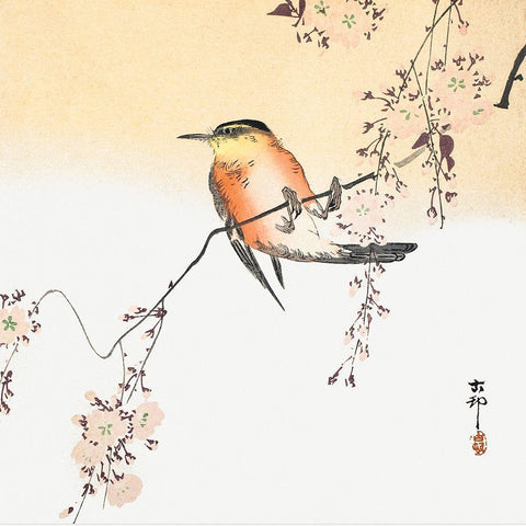 Songbird and Blossoming Cherry Gold Ornate Wood Framed Art Print with Double Matting by Koson, Ohara