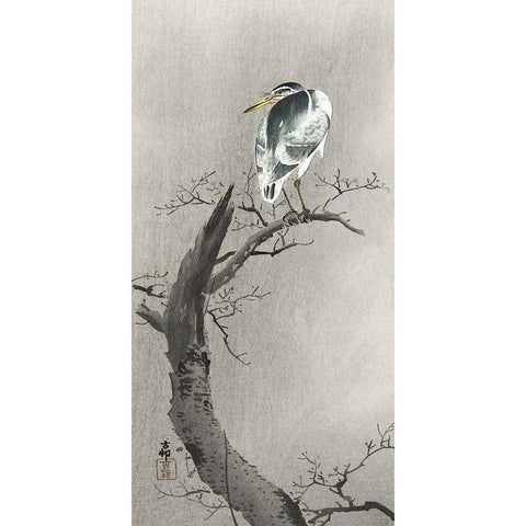 Kwak on branch White Modern Wood Framed Art Print by Koson, Ohara