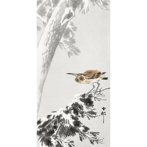 Indian quack on snowy tree branch White Modern Wood Framed Art Print by Koson, Ohara