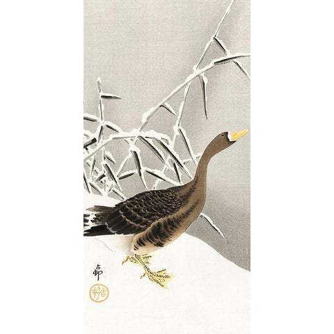 White-fronted goose in the snow Black Modern Wood Framed Art Print with Double Matting by Koson, Ohara