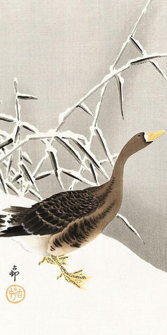 White-fronted goose in the snow Black Ornate Wood Framed Art Print with Double Matting by Koson, Ohara