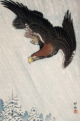 Eagle Flying in Snow White Modern Wood Framed Art Print with Double Matting by Koson, Ohara