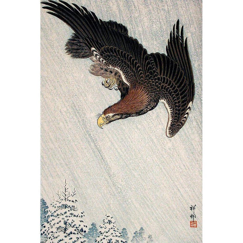 Eagle Flying in Snow Black Modern Wood Framed Art Print with Double Matting by Koson, Ohara