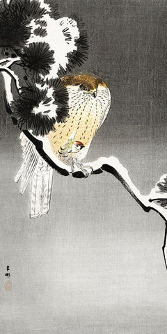 Hawk with sparrow White Modern Wood Framed Art Print with Double Matting by Koson, Ohara