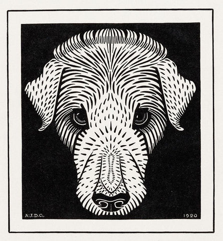 Dogs head White Modern Wood Framed Art Print with Double Matting by De Graag, Julie