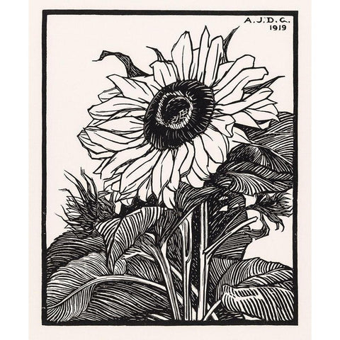 Sunflower White Modern Wood Framed Art Print by De Graag, Julie