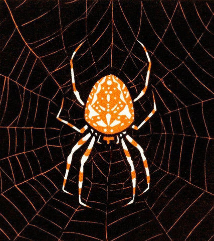 Spider in a webÂ  Black Ornate Wood Framed Art Print with Double Matting by De Graag, Julie