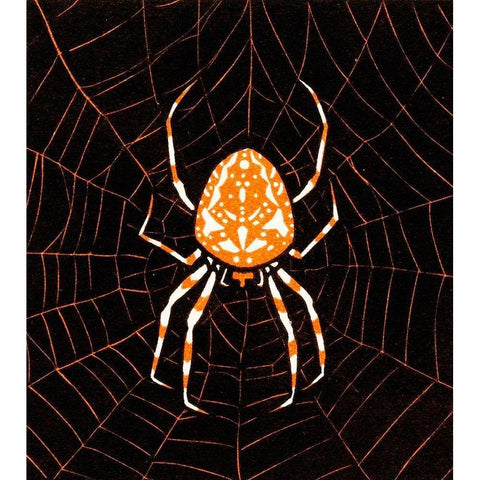 Spider in a webÂ  White Modern Wood Framed Art Print by De Graag, Julie