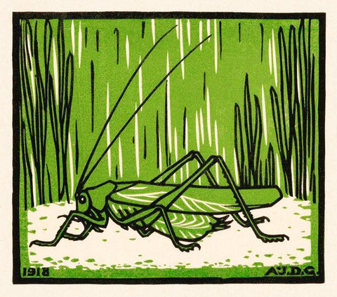 Grasshopper White Modern Wood Framed Art Print with Double Matting by De Graag, Julie