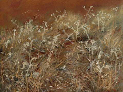 Thistles White Modern Wood Framed Art Print with Double Matting by Sargent, John Singer