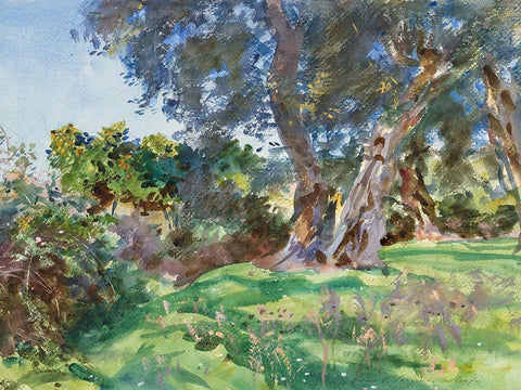 Olive Trees, Corfu Black Ornate Wood Framed Art Print with Double Matting by Sargent, John Singer