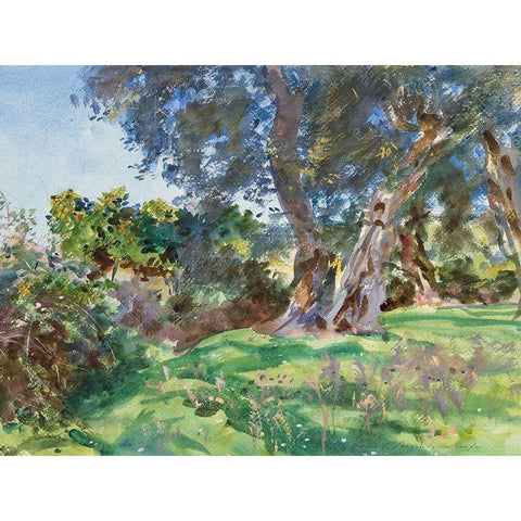 Olive Trees, Corfu Black Modern Wood Framed Art Print by Sargent, John Singer