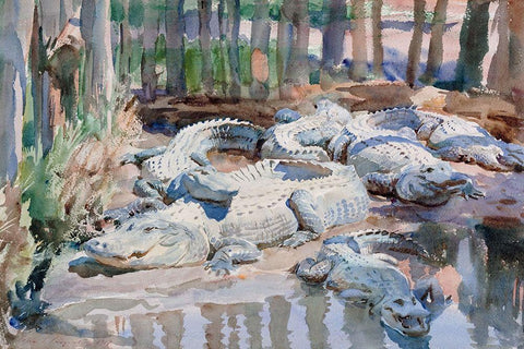 Muddy Alligators White Modern Wood Framed Art Print with Double Matting by Sargent, John Singer