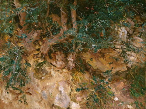 Valdemosa, Majorca: Thistles and Herbage on a Hillside White Modern Wood Framed Art Print with Double Matting by Sargent, John Singer