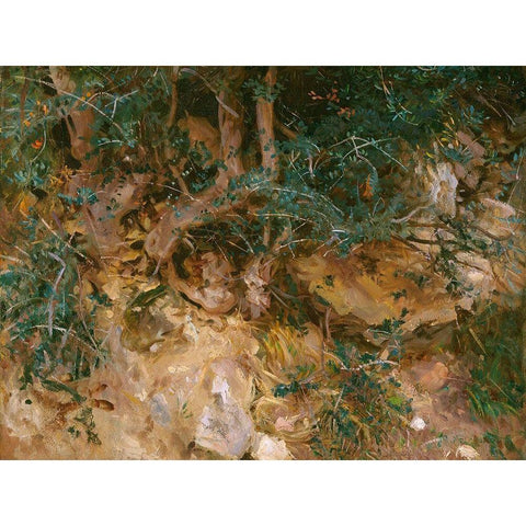 Valdemosa, Majorca: Thistles and Herbage on a Hillside Black Modern Wood Framed Art Print by Sargent, John Singer